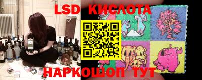 мдпв Новозыбков