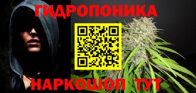 мдпв Новозыбков