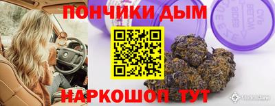 мдпв Новозыбков