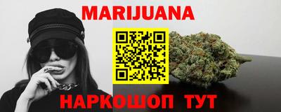 мдпв Новозыбков
