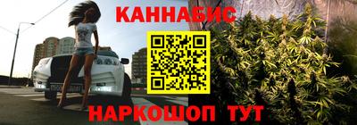мдпв Новозыбков