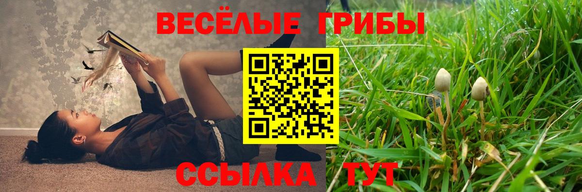 Псилоцибиновые грибы Magic Shrooms Фролово